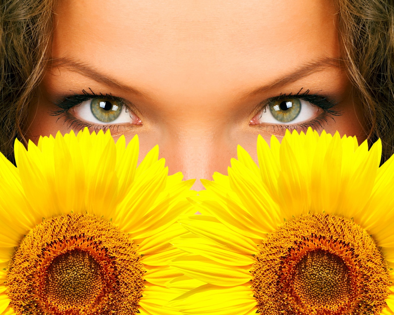 Девушка с желтыми ромашками обои