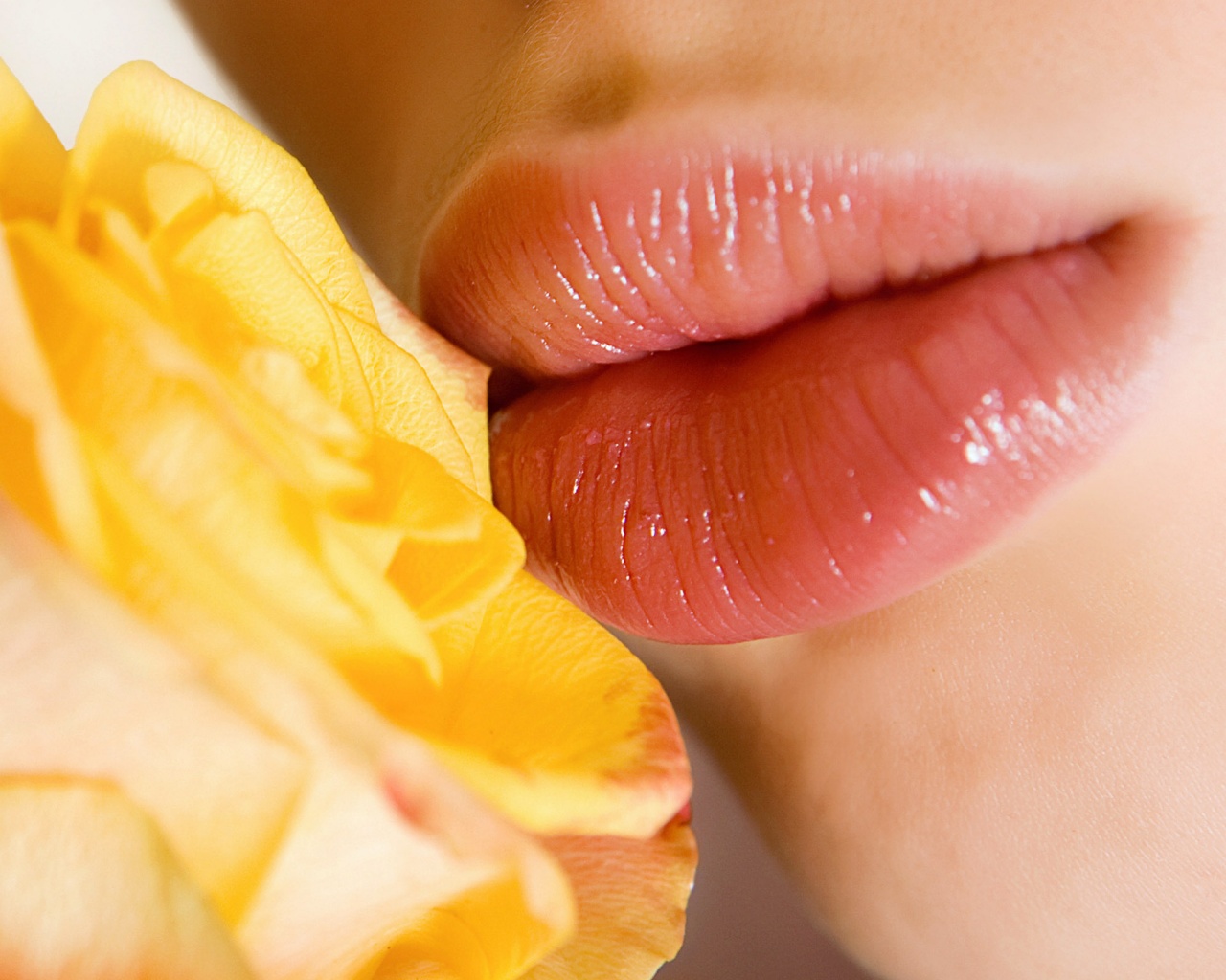 Губы девушки и роза обои