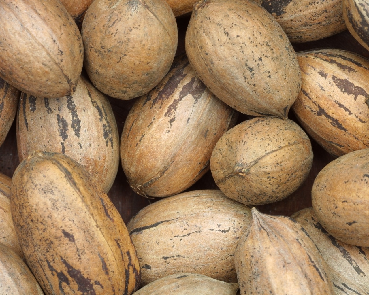 Грецкие орехи обои