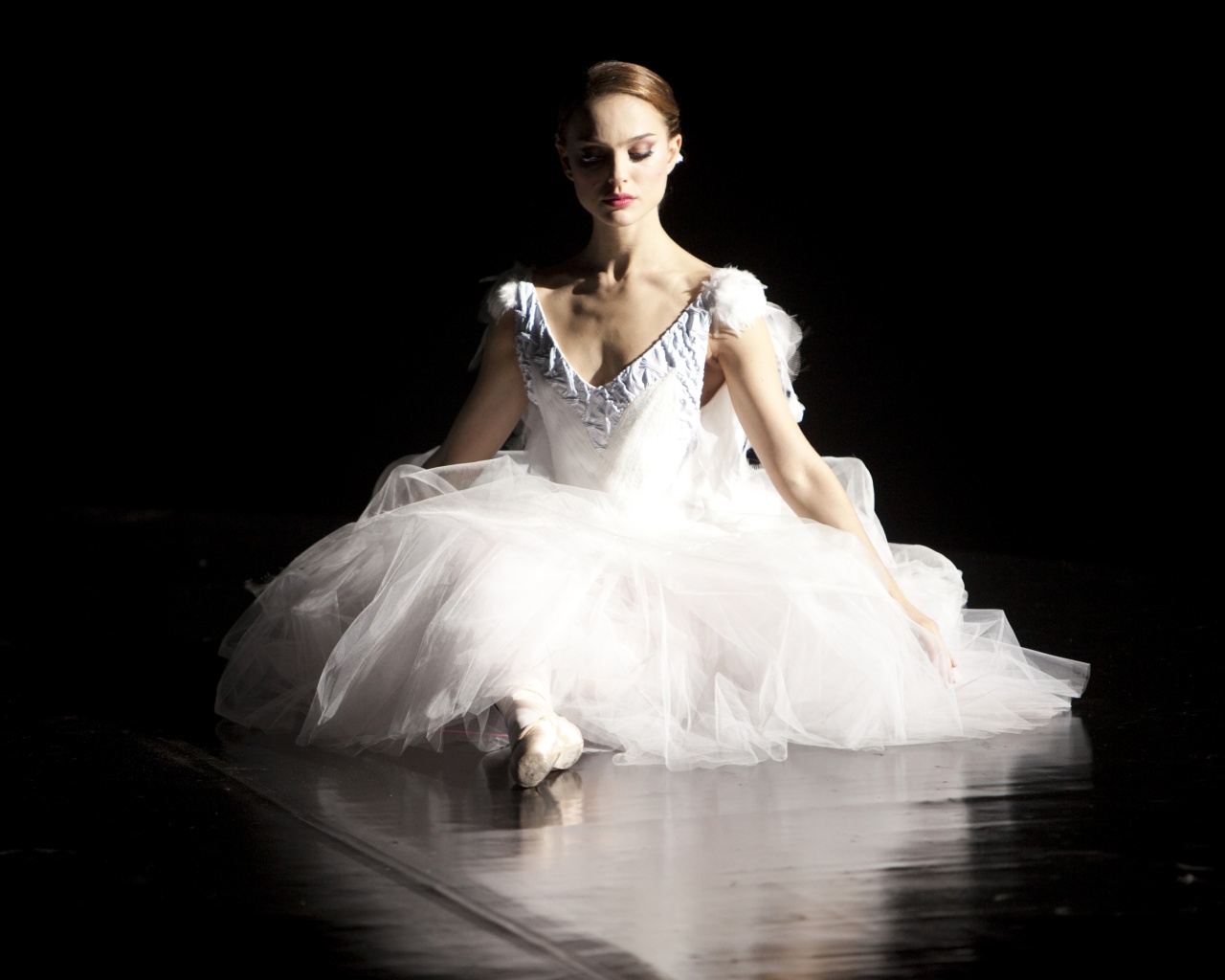 Черный лебедь обои