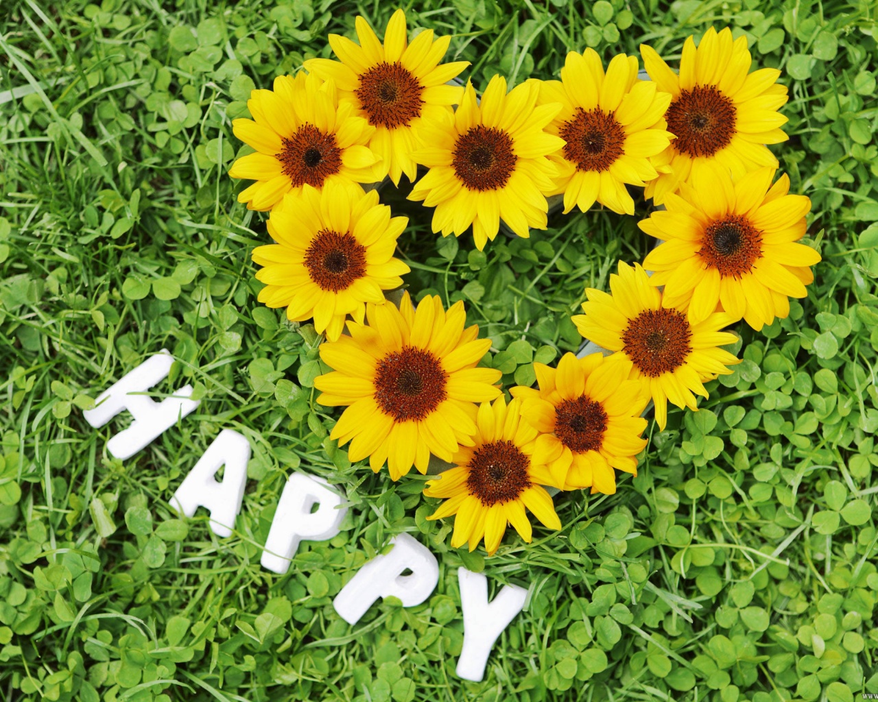 Радость обои