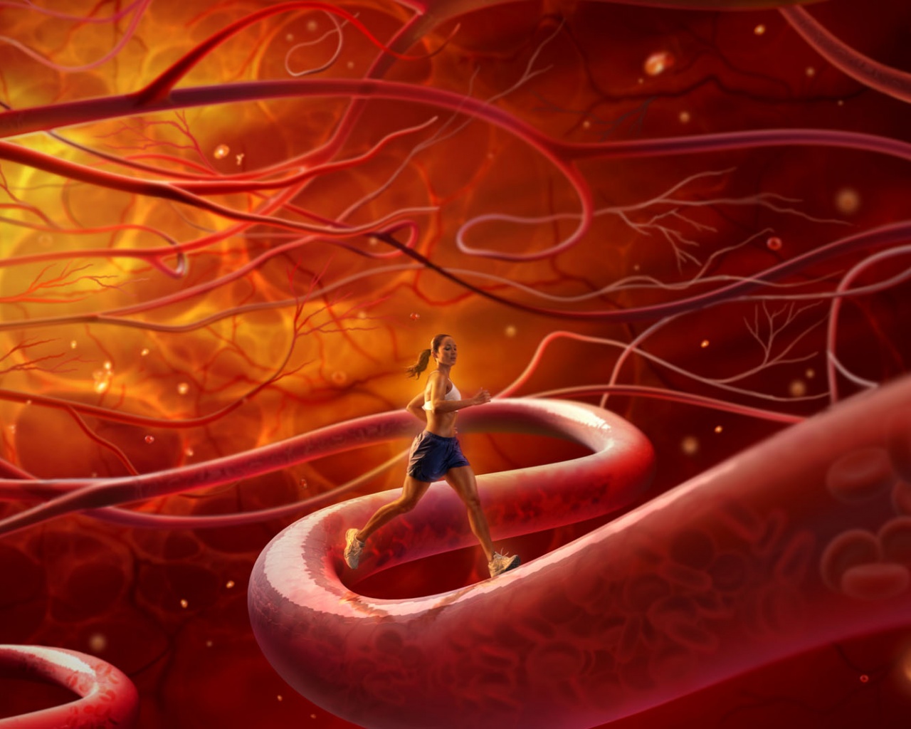 Бег крови обои