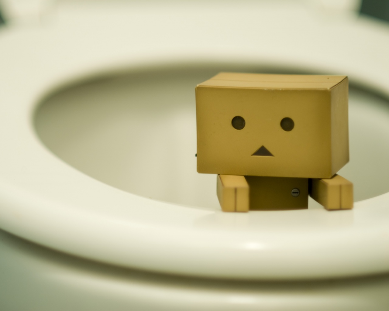 Danbo в унитазе обои