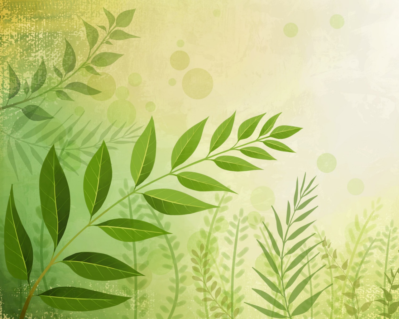 Веточка молодых листьев обои