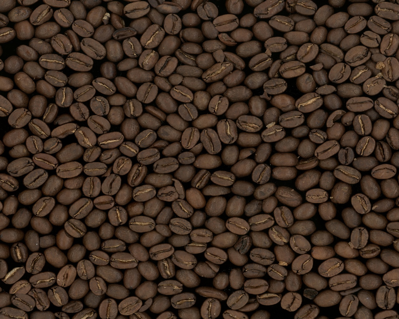 Зерна кофе обои