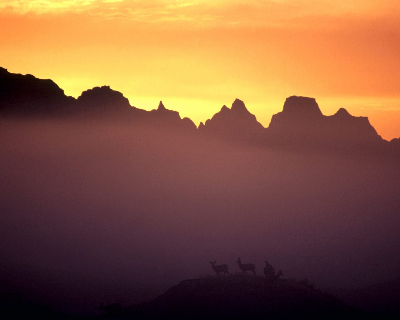 Вечер в национальном парке обои