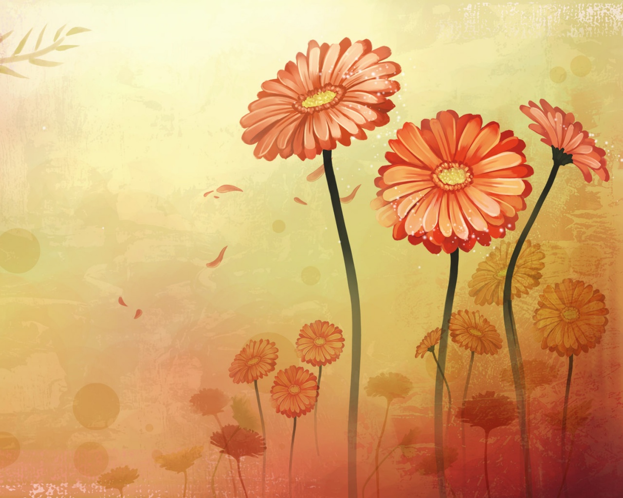 Векторные ромашки обои