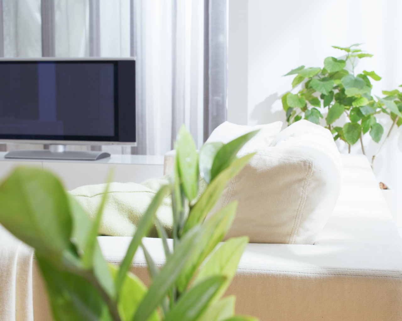 Белая комната обои