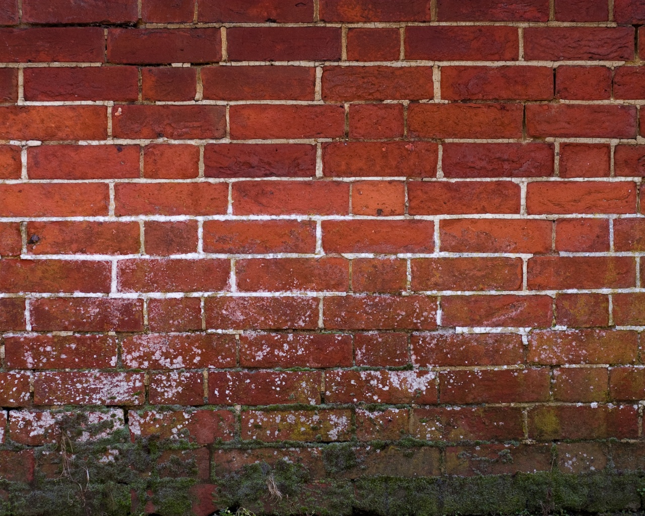 Старая кирпичная стена обои