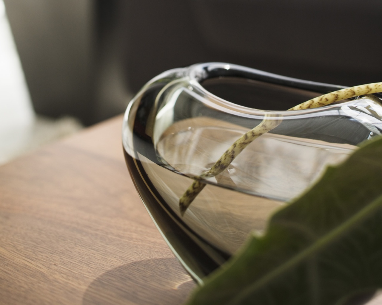 Ваза с листом обои