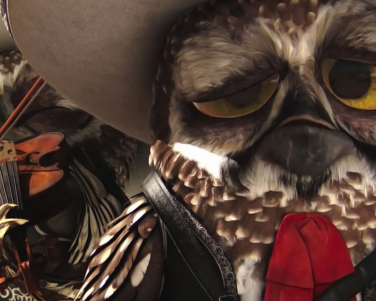 Совы-мариачи из Ранго обои