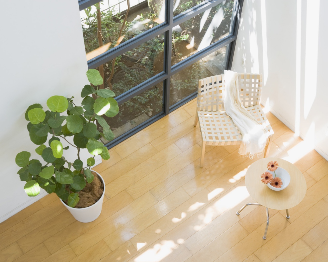 Стул, столик и цветы в комнате обои