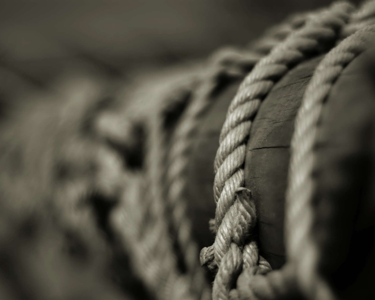 Веревка намотана на мачту обои