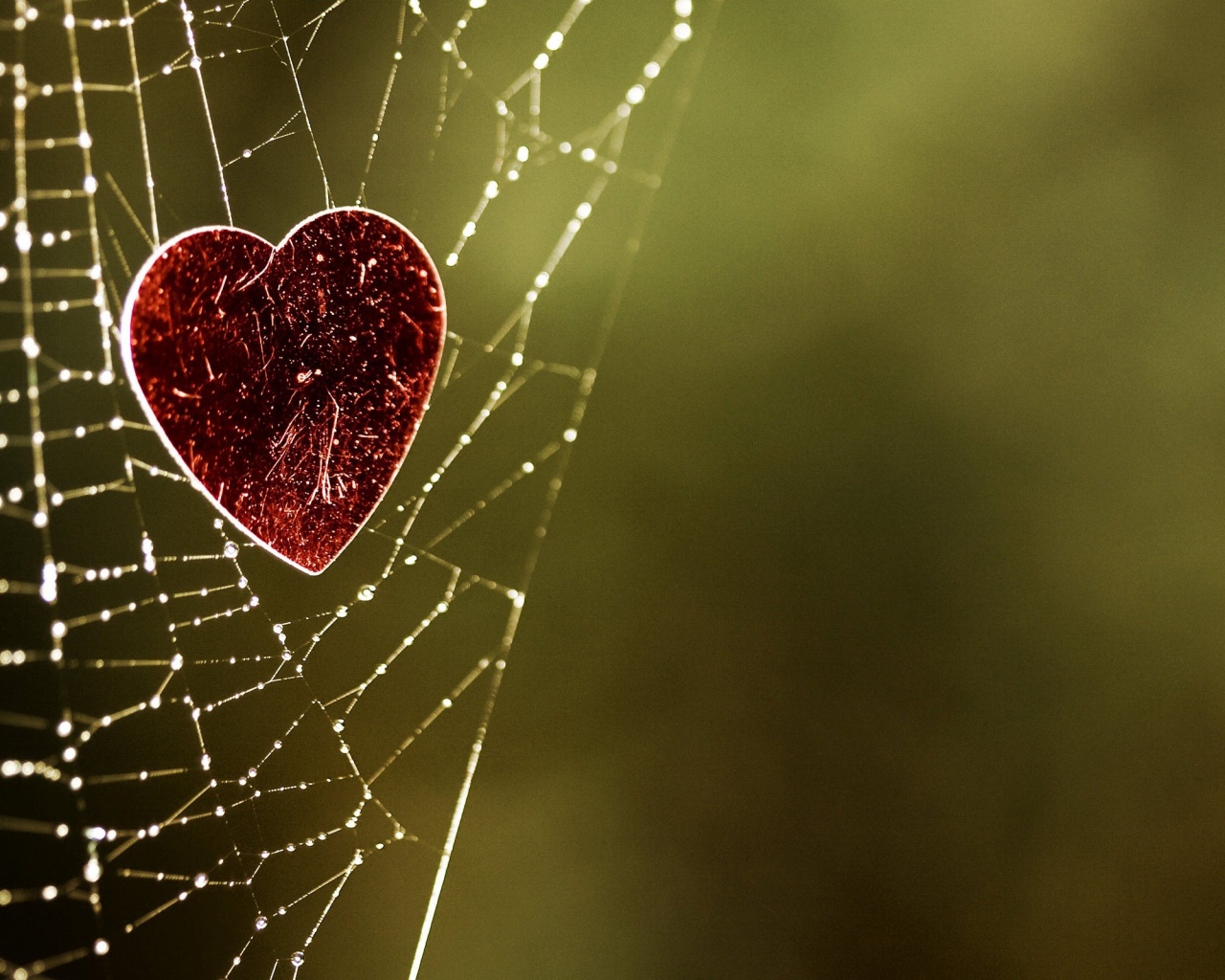 Запутавшаяся любовь.. обои