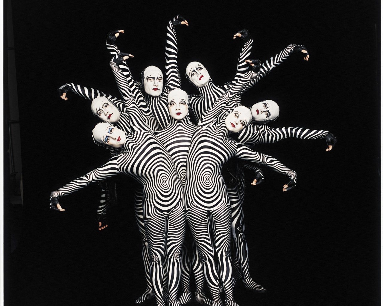 Зеброиды (актеры цирка дю солей) обои