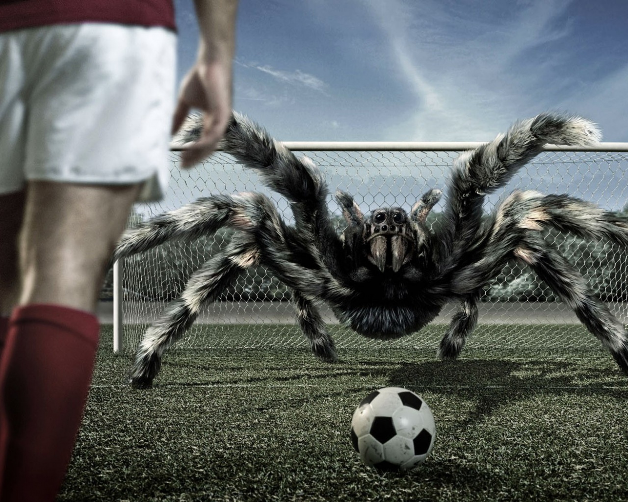 Вратарь обои