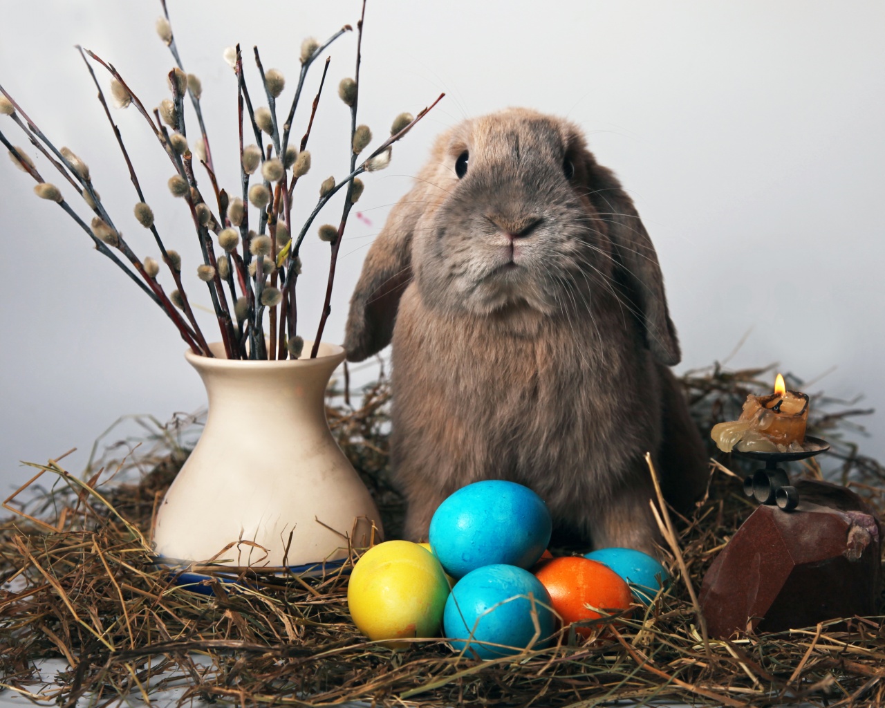 Пасхальный кролик обои