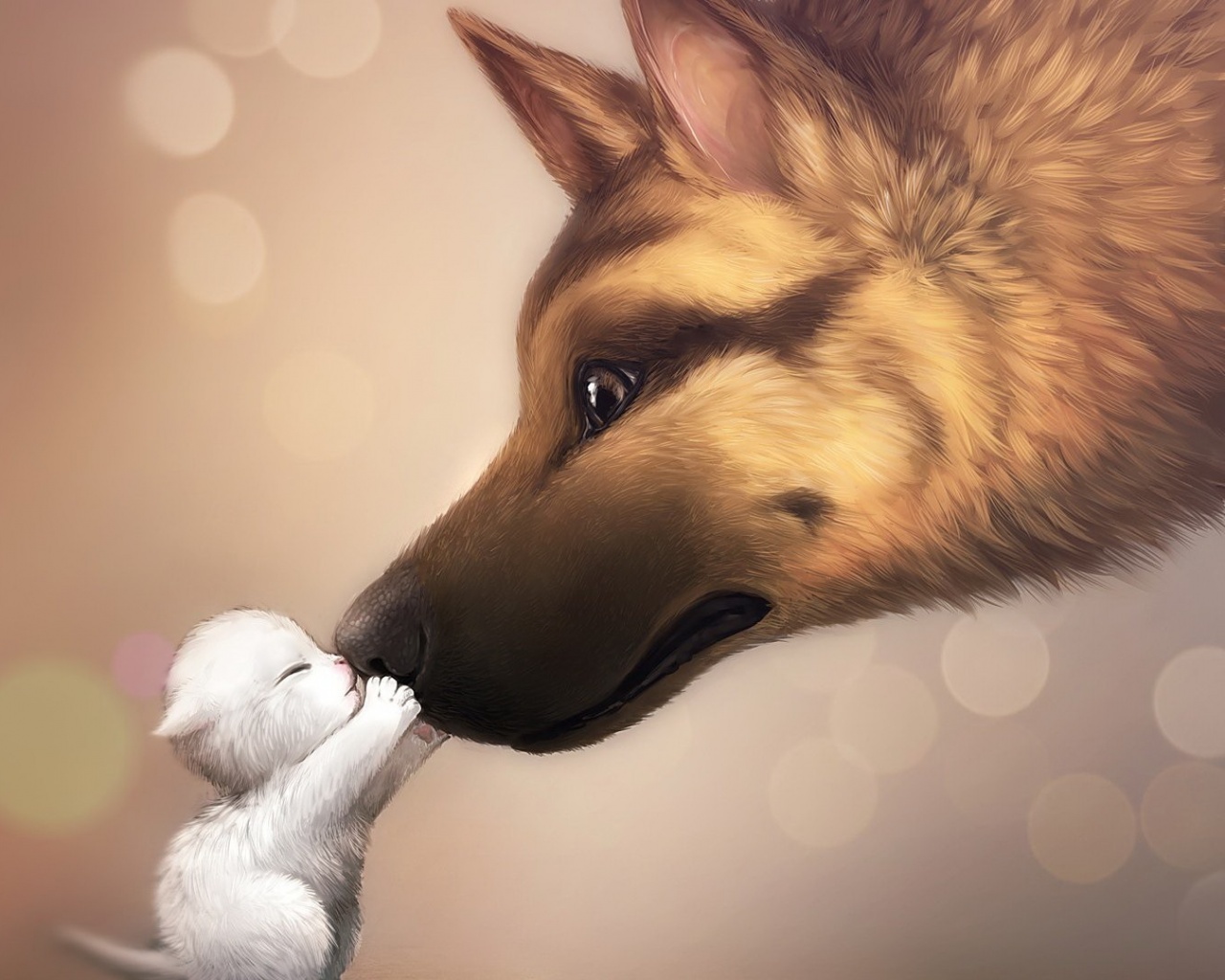 Овчарка и котенок обои