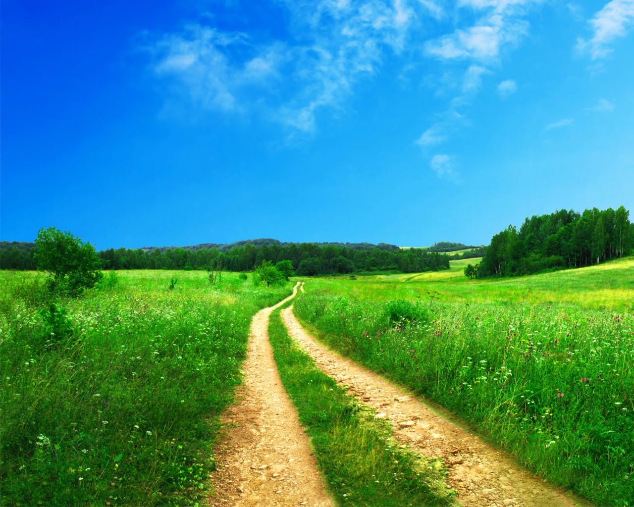 Дорога через луг обои