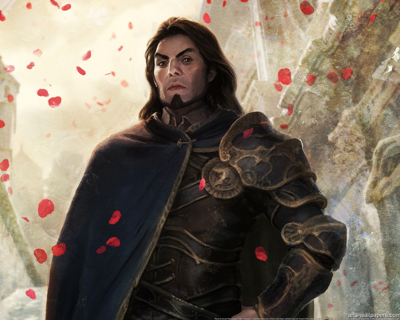 Рыцарь обои