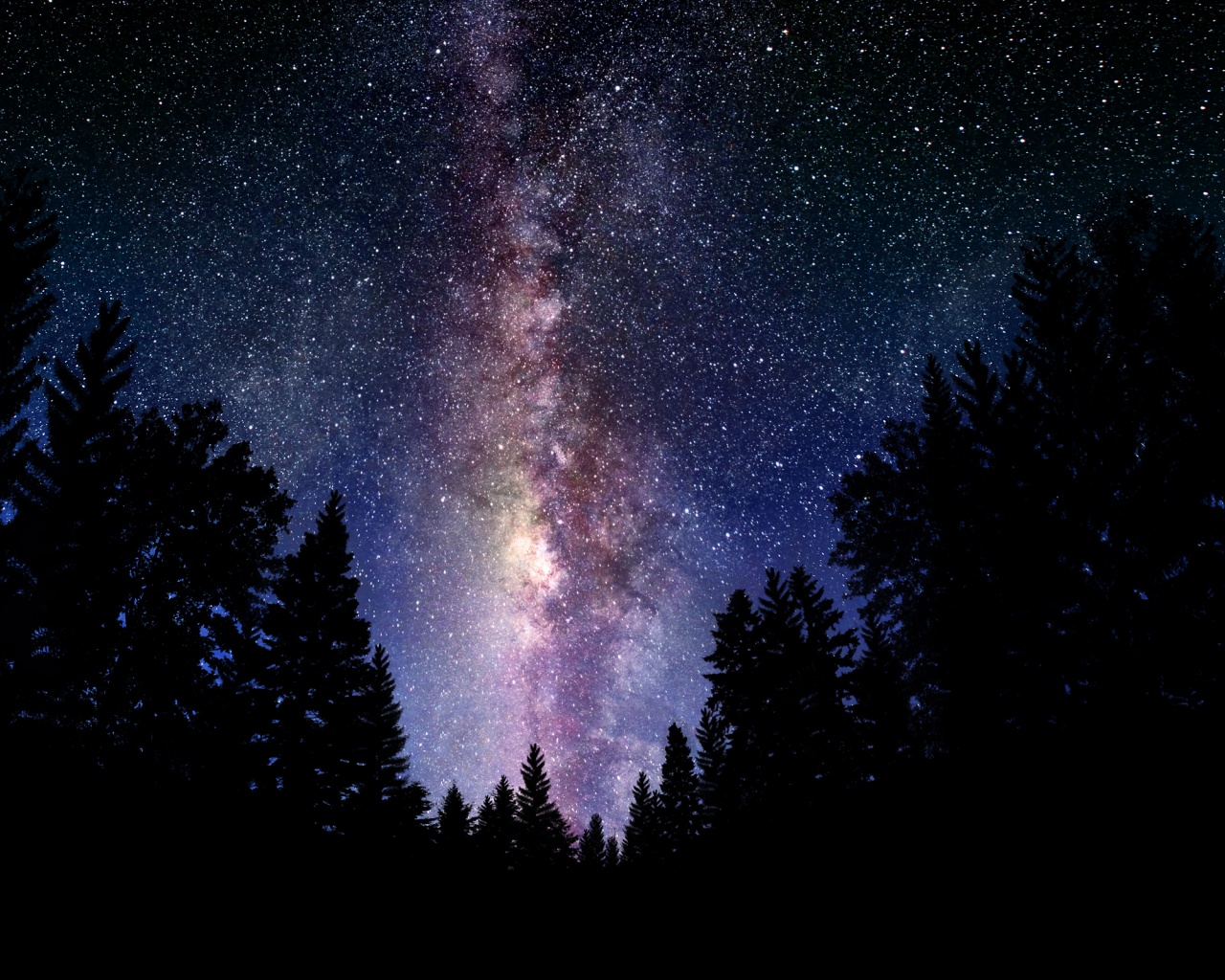 Лесной пейзаж обои