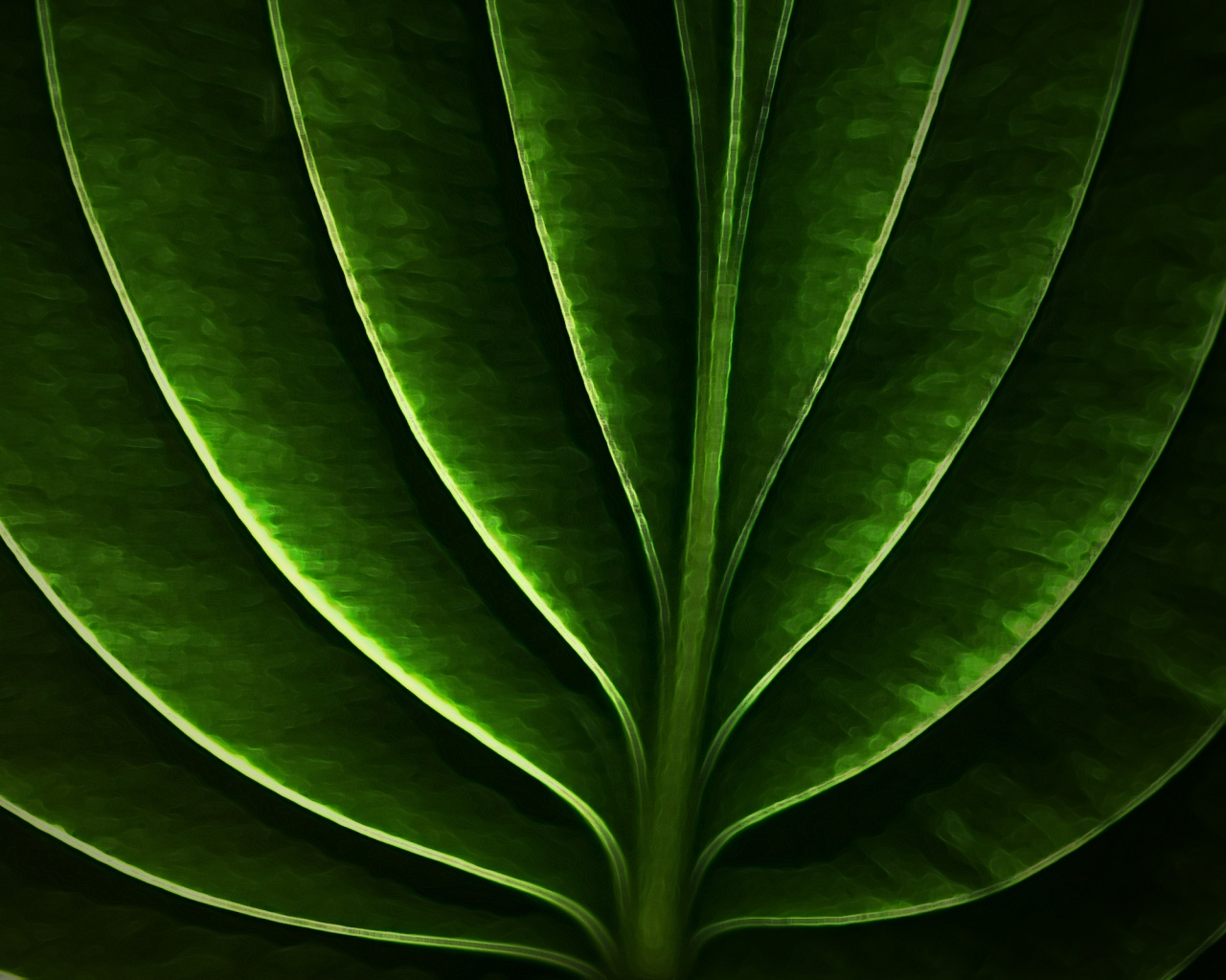 Неоновый лист обои