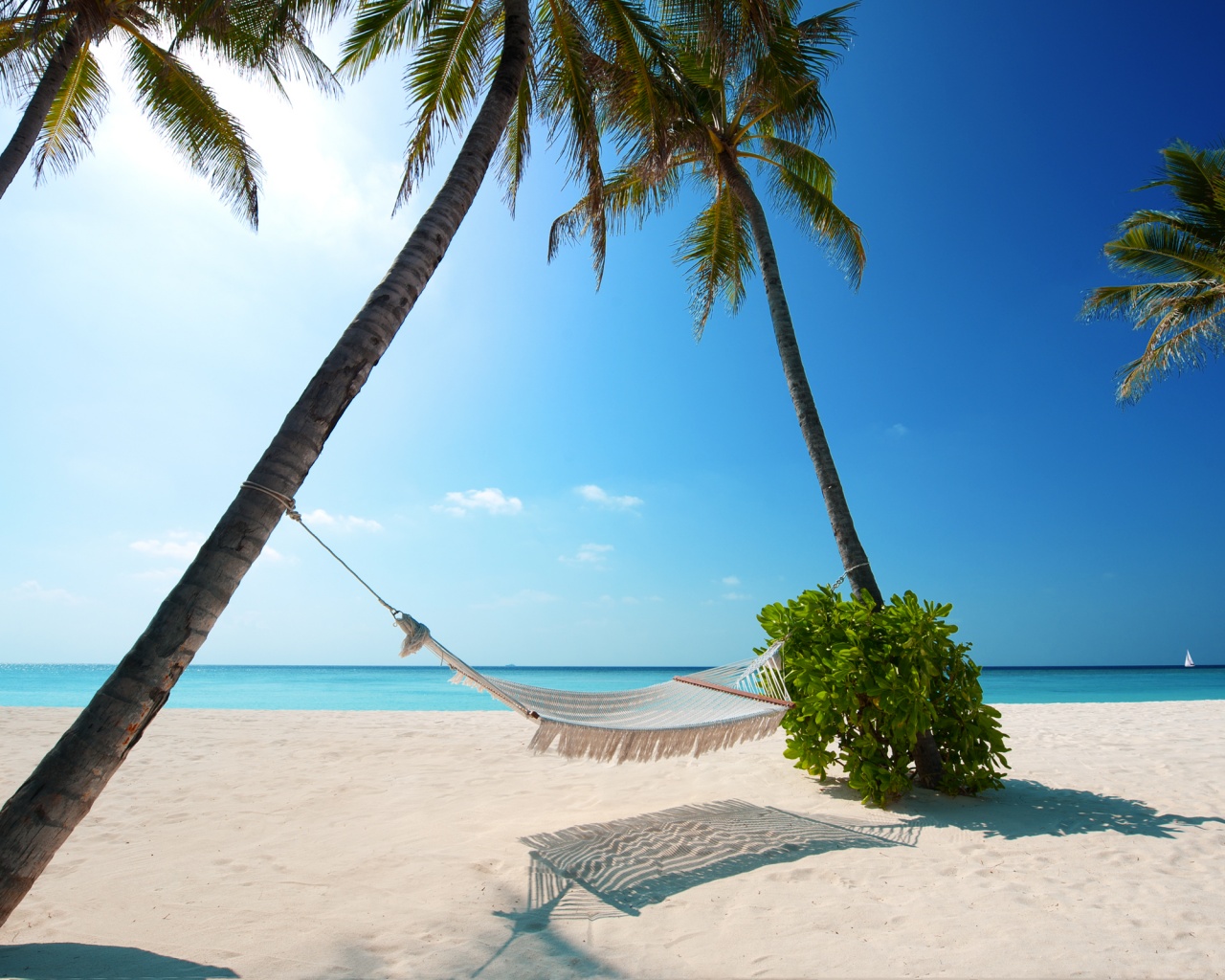 Тропический рай обои