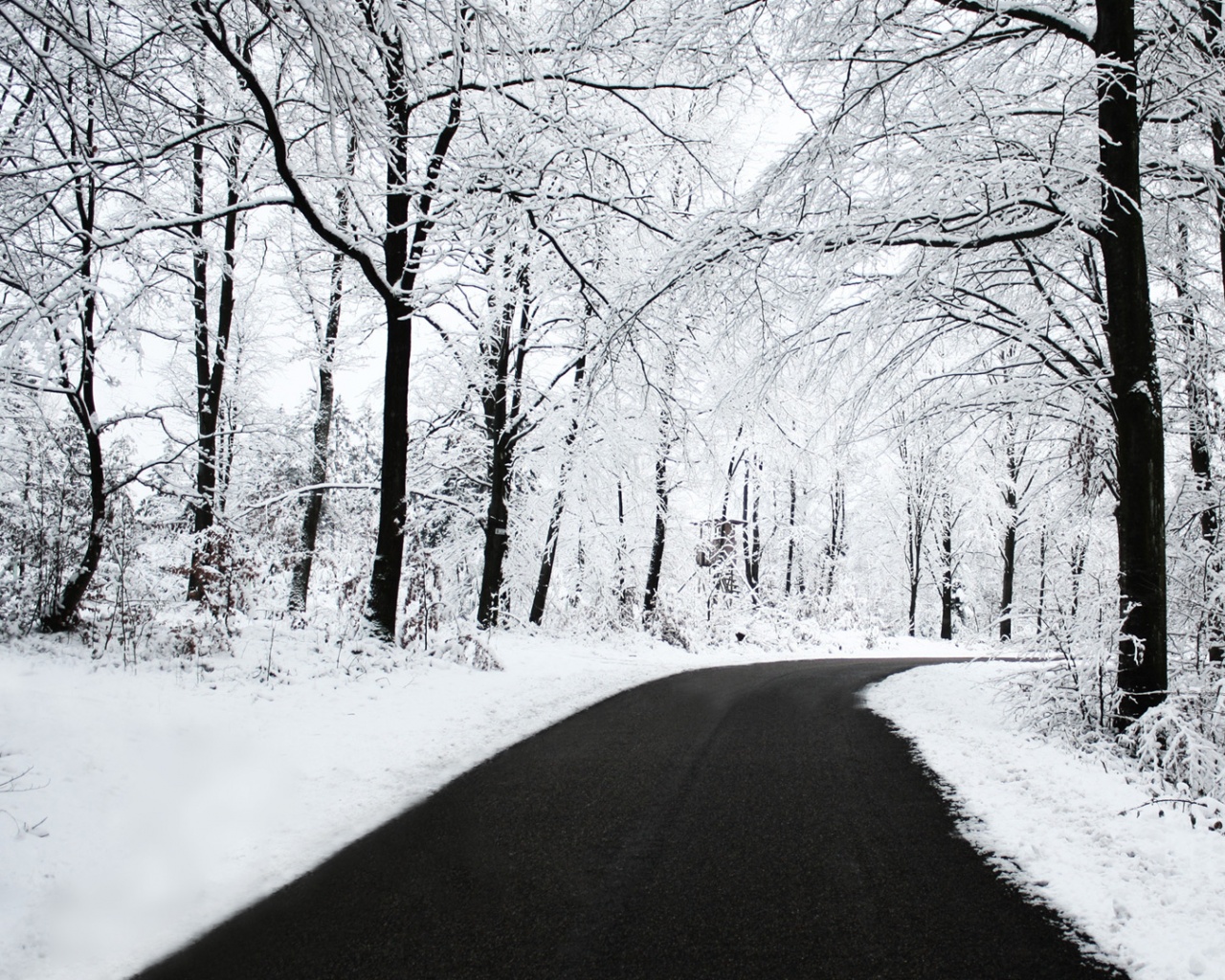 Дорога в зимнем лесу обои