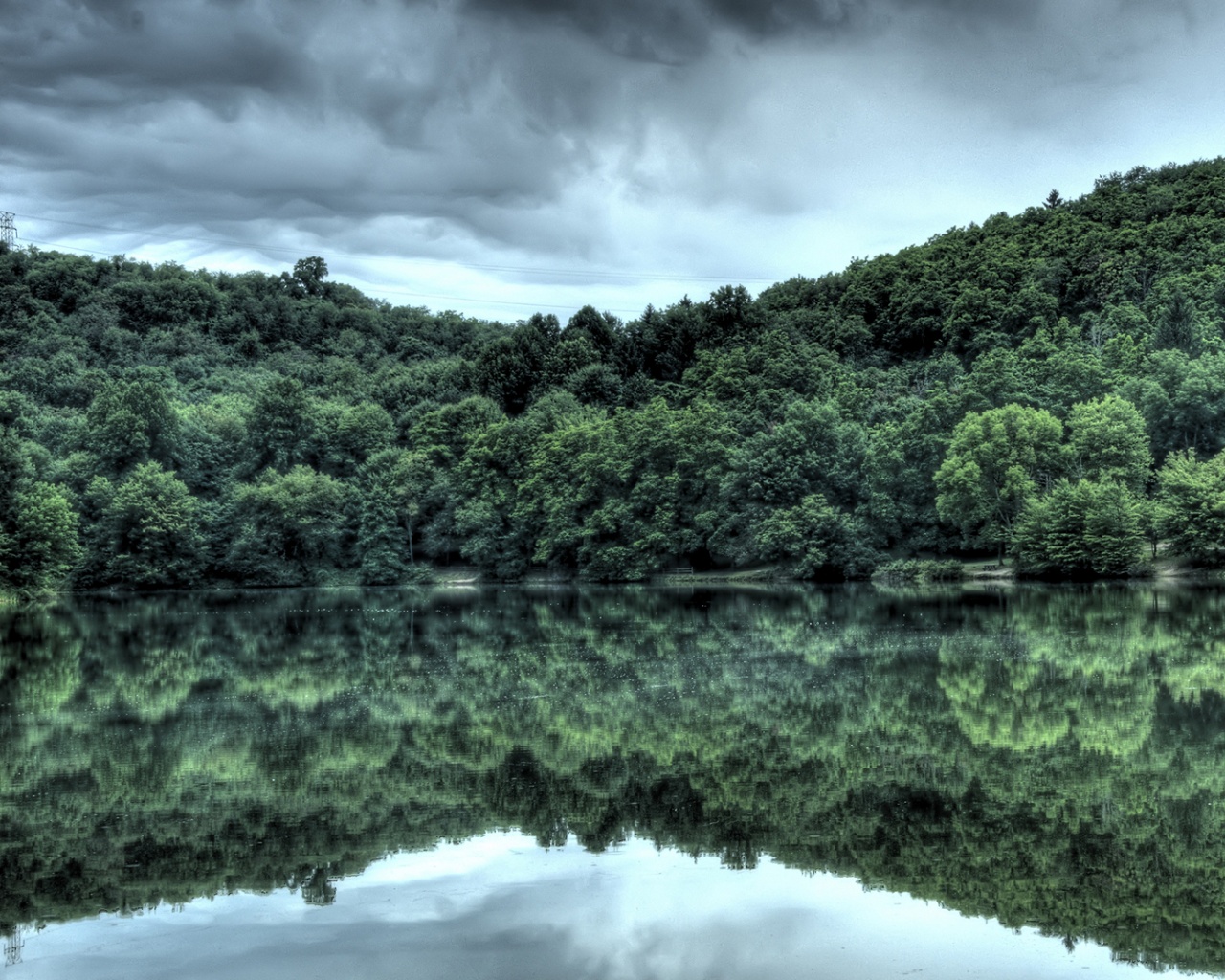 Лесной берег обои