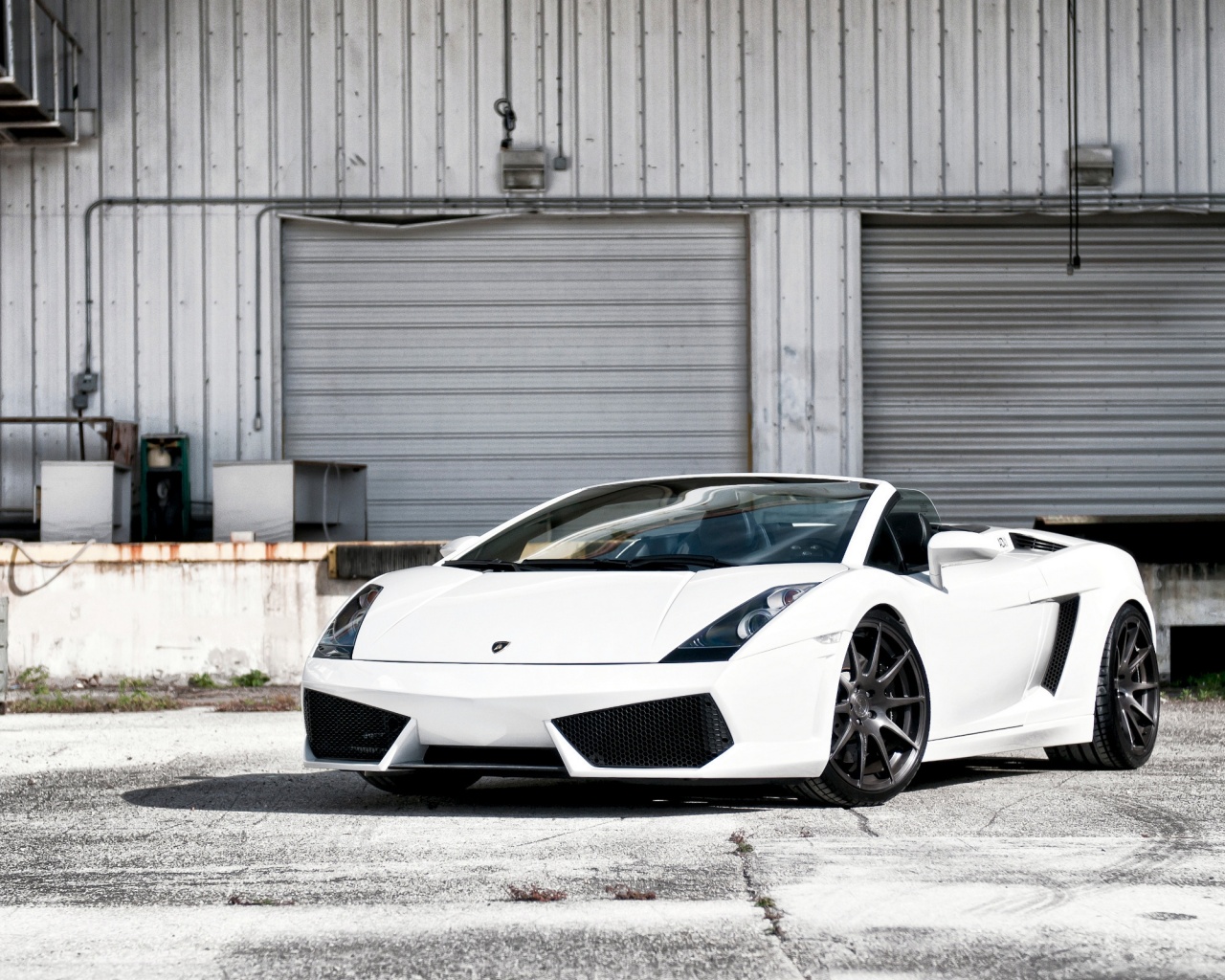 Белый спорткар Ламборгини Галлардо обои