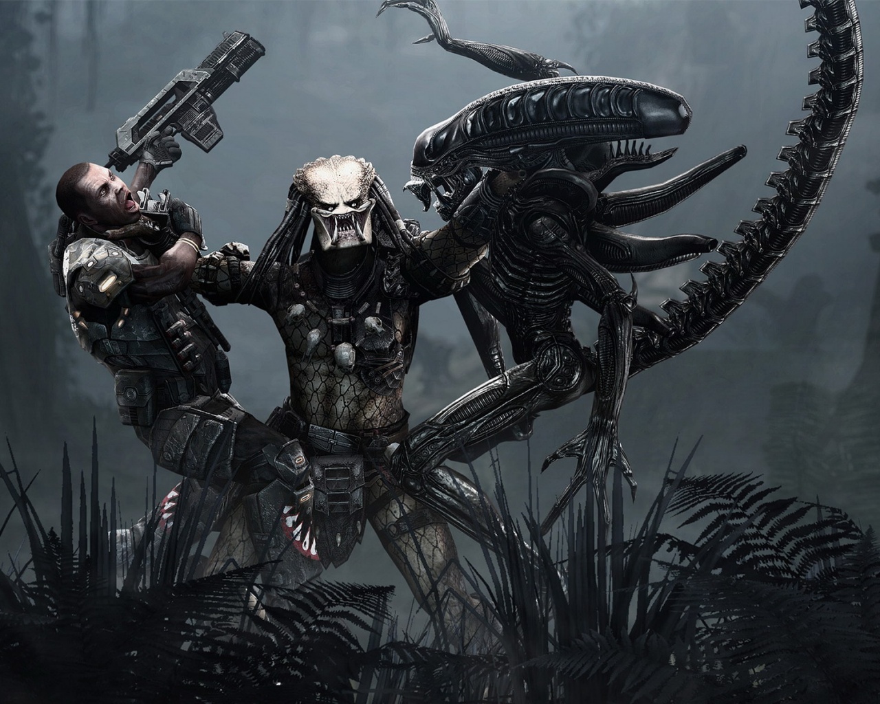 Чужой против Хищника обои