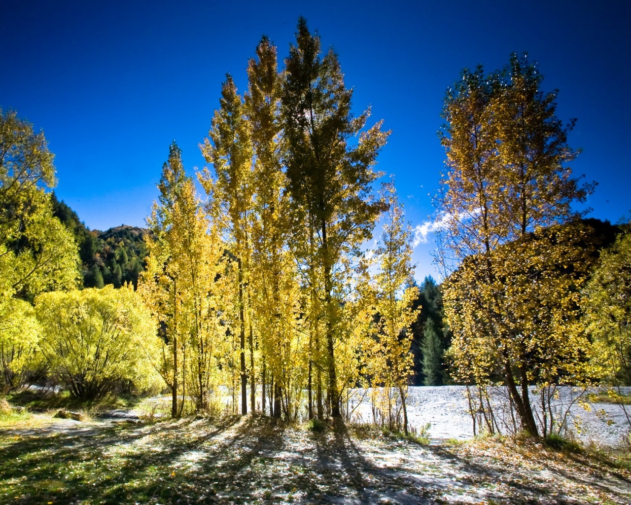 Осень в Новой Зеландии обои