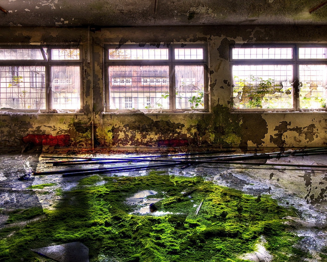 Запустение обои