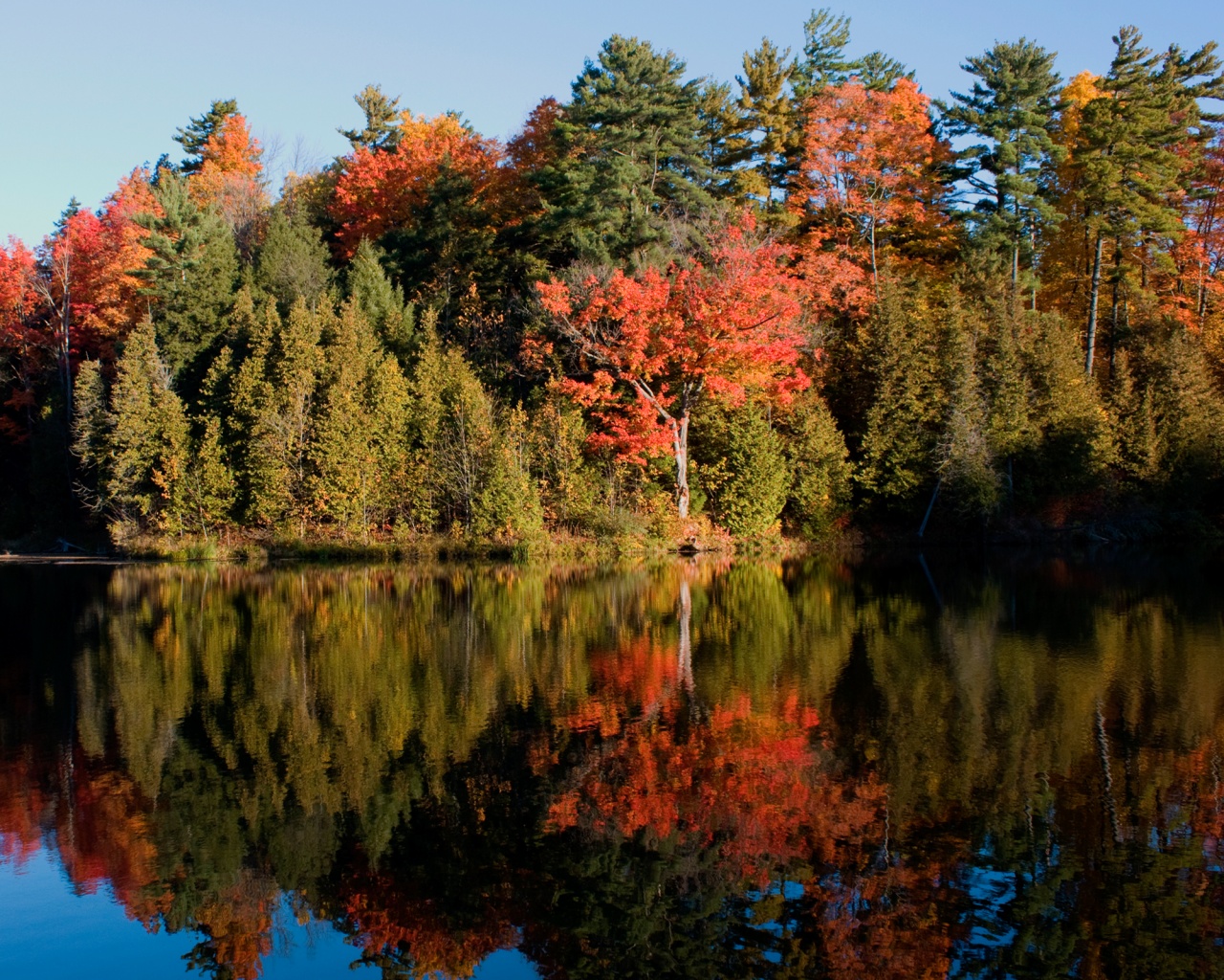Осенний пейзаж обои