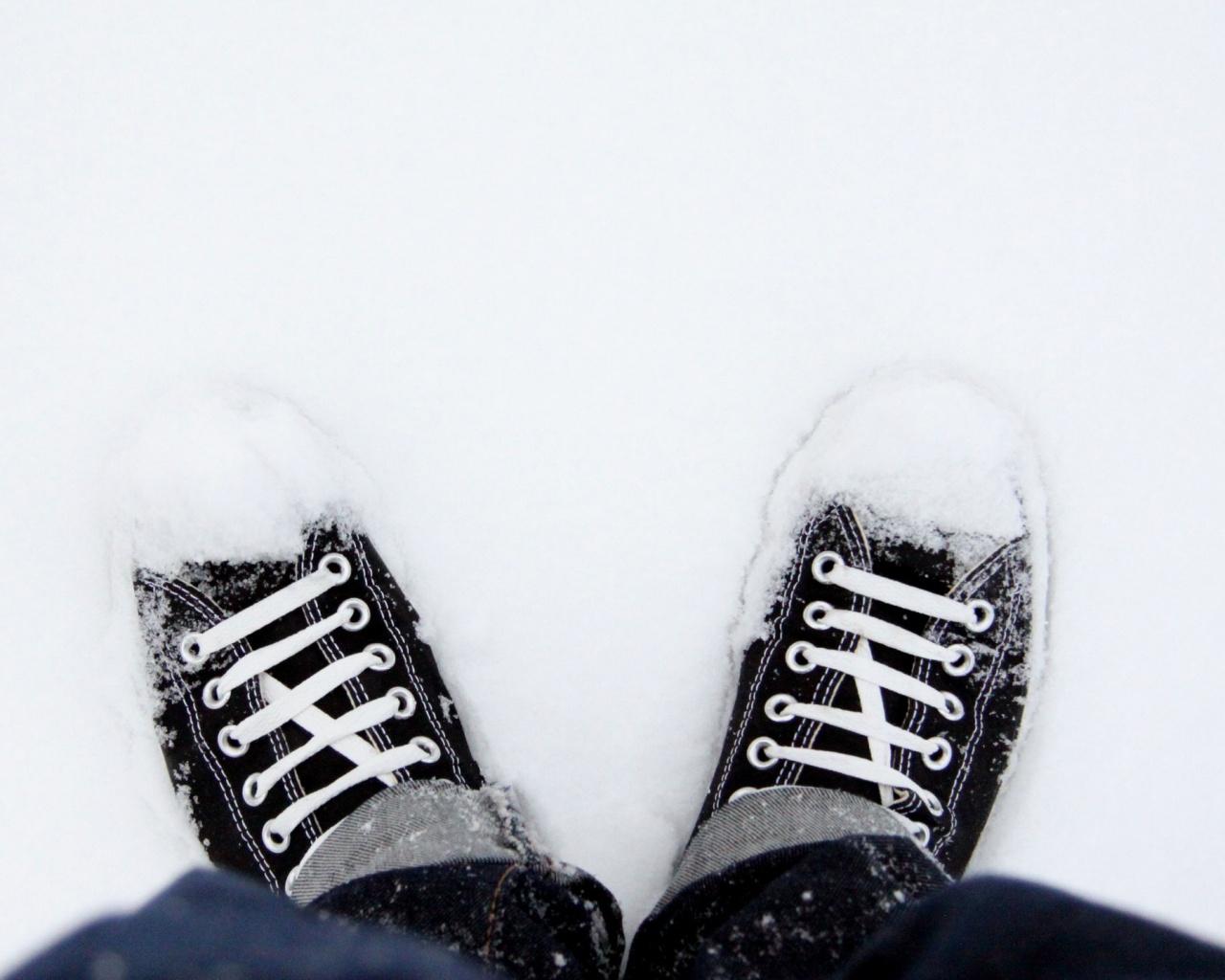 Дурак зимой в кедах обои