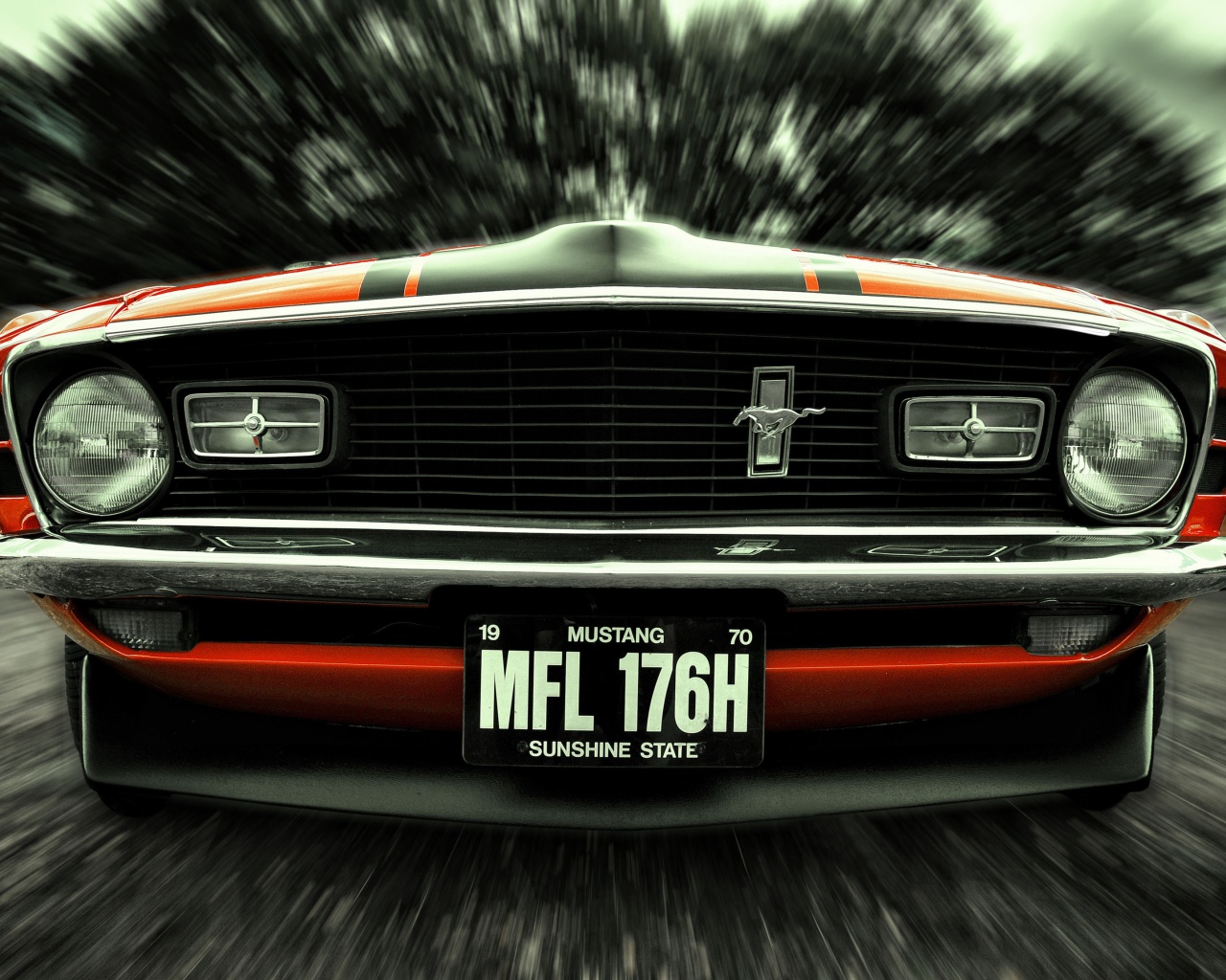 Мустанг обои