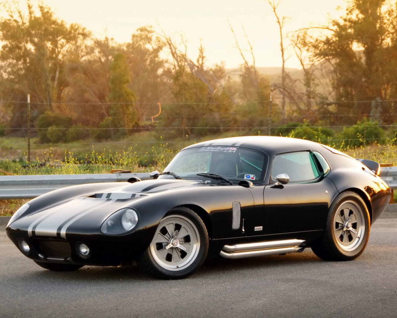 Shelby Daytona обои