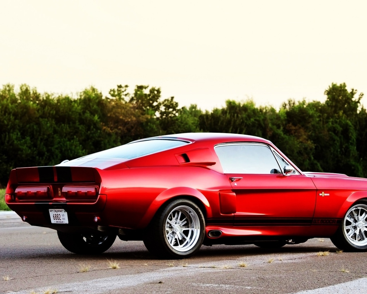 Shelby GT500 CR обои