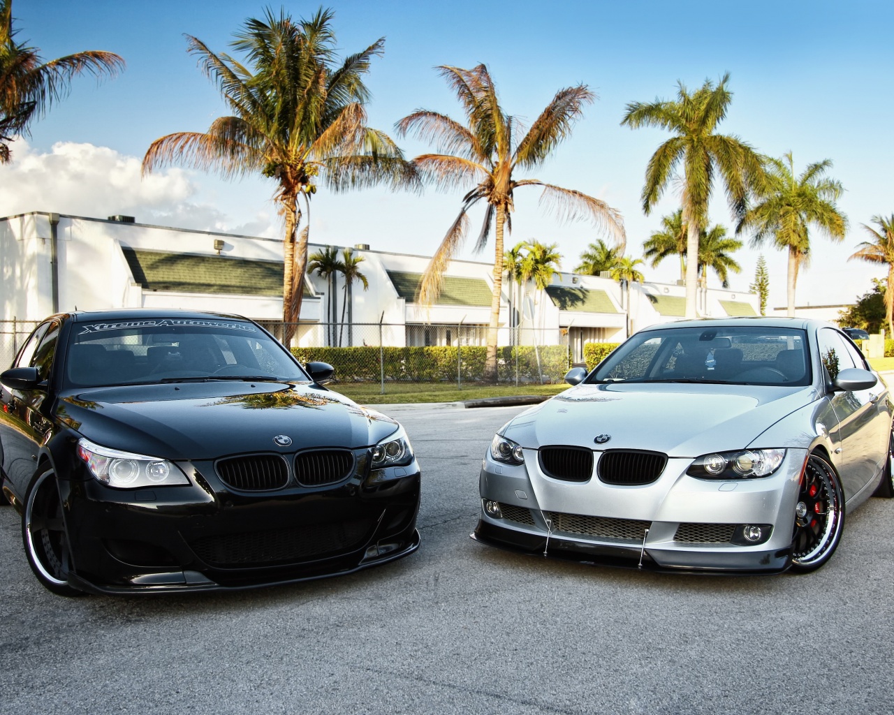Две БМВ обои