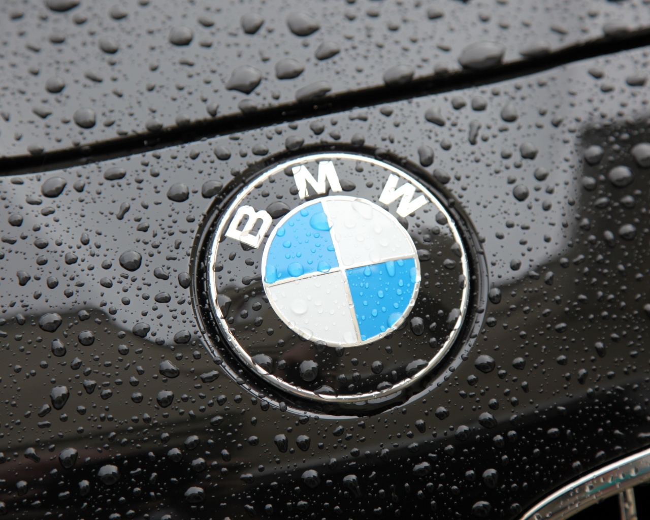 Эмблема БМВ обои