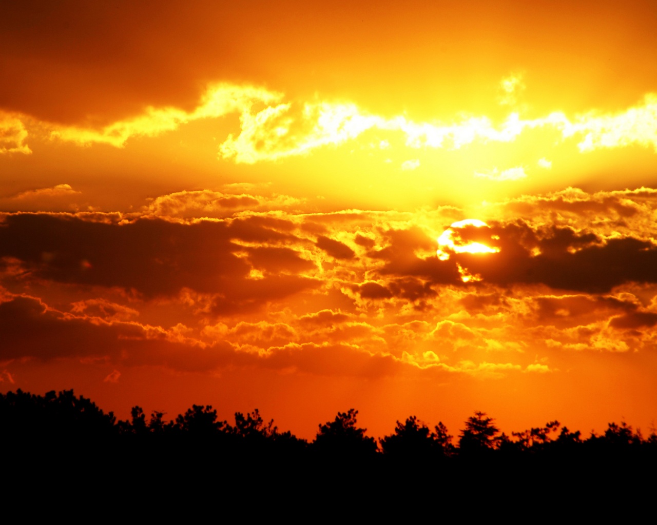 Ярко-оранжевое закатное небо обои