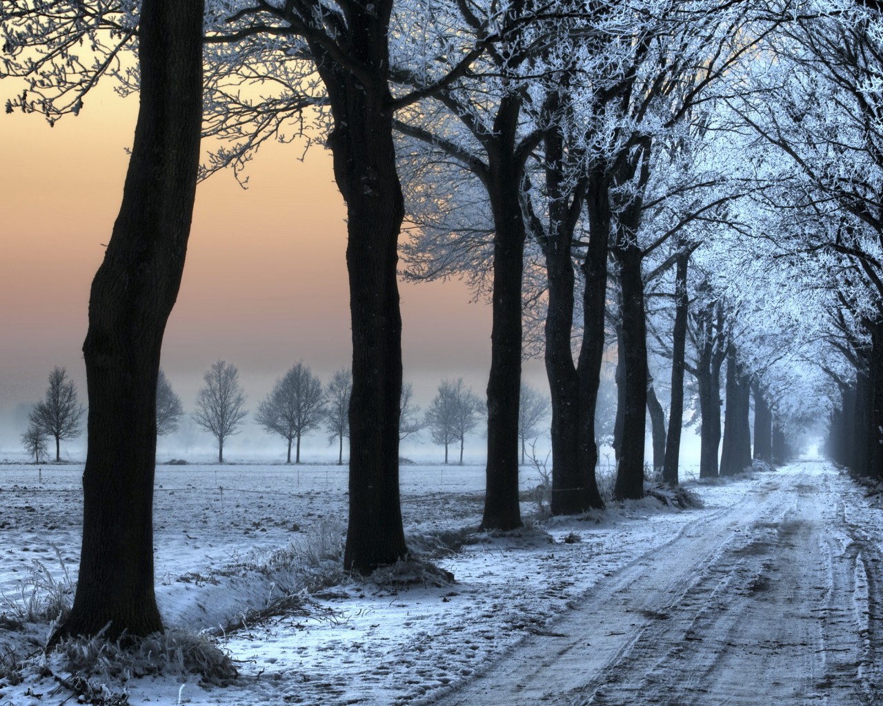 Морозное утро обои