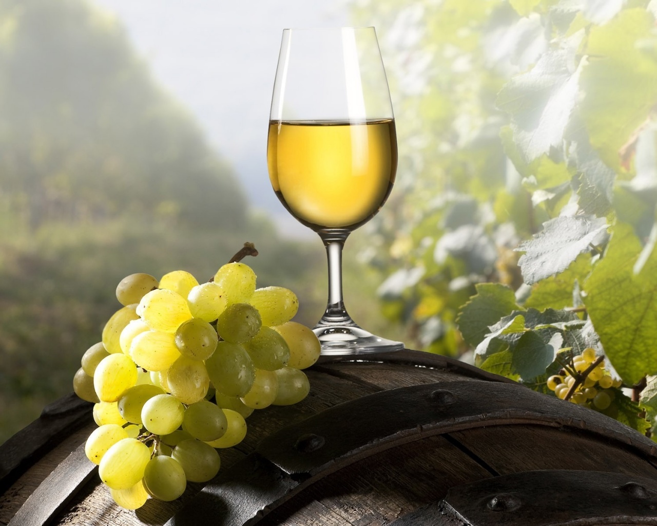 Винная бочка и бокал с белым вином обои