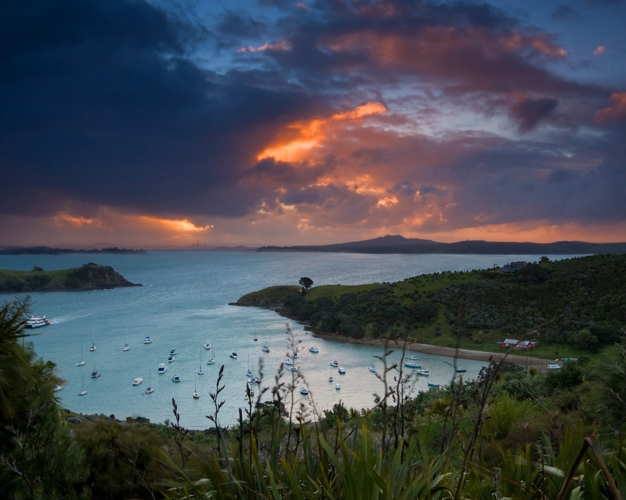 Waiheke Island, New Zealand обои