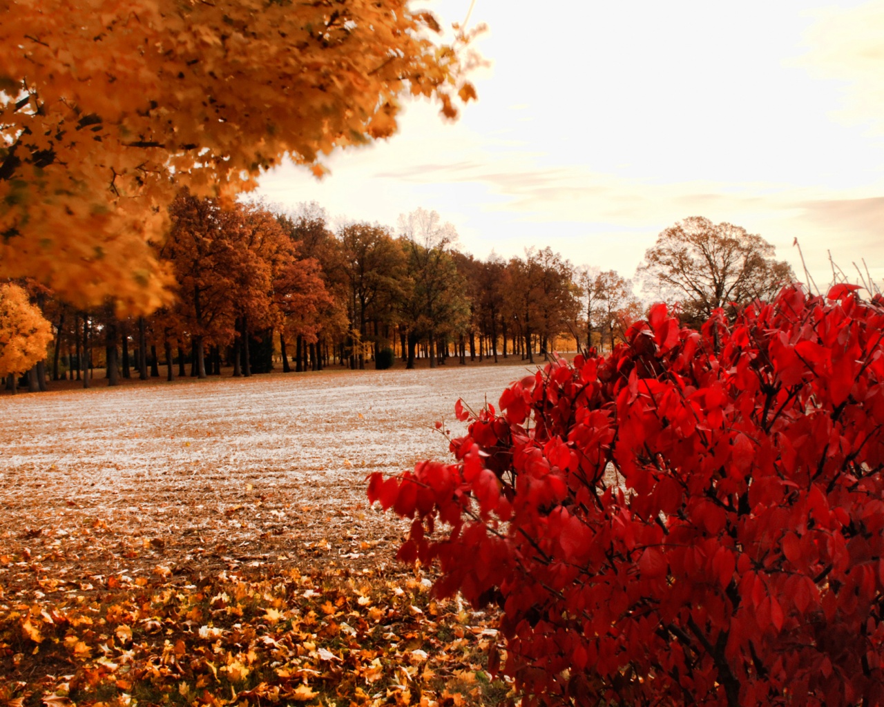 Осенний парк обои