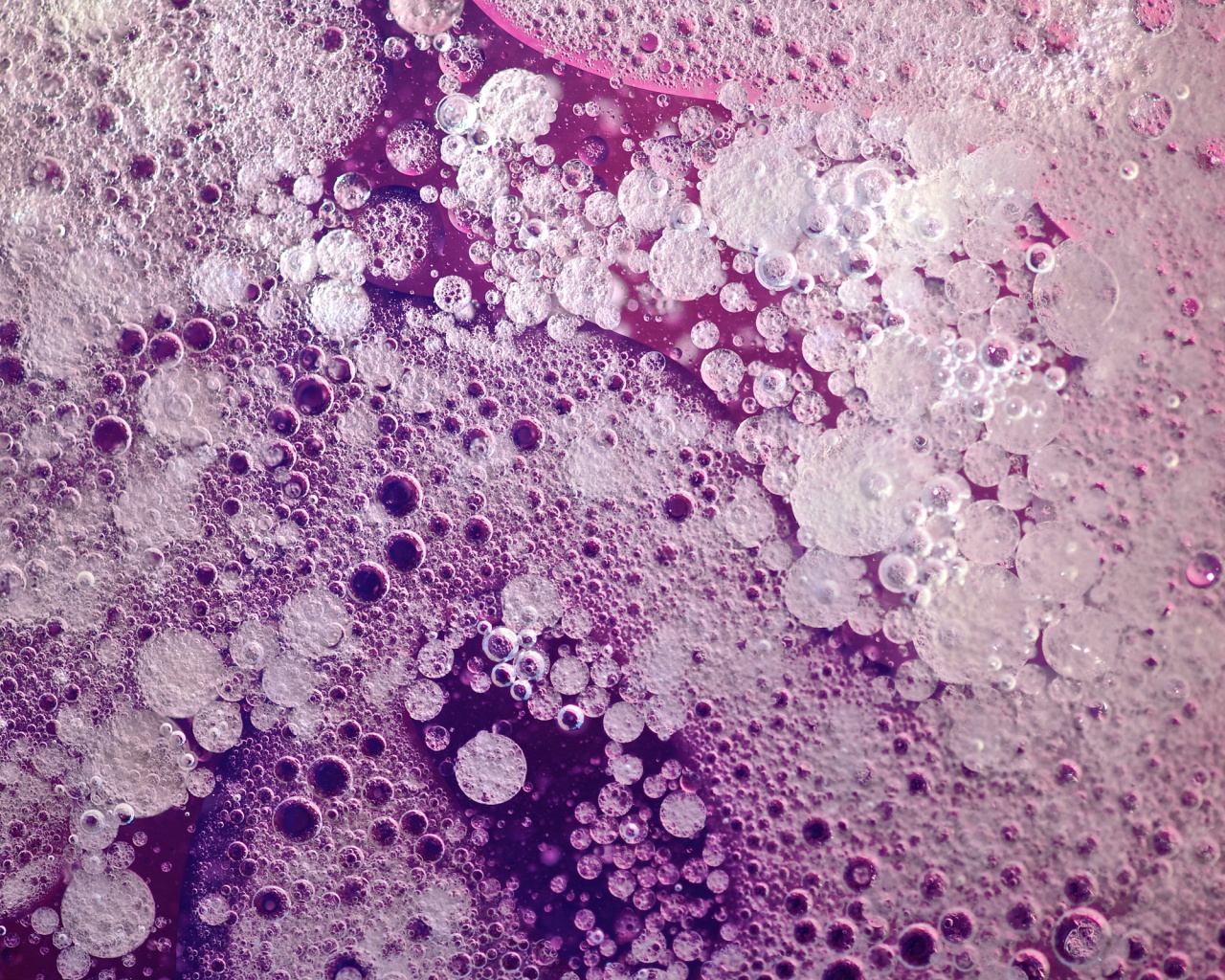 Реакция Вассермана в фиолетовых тонах обои