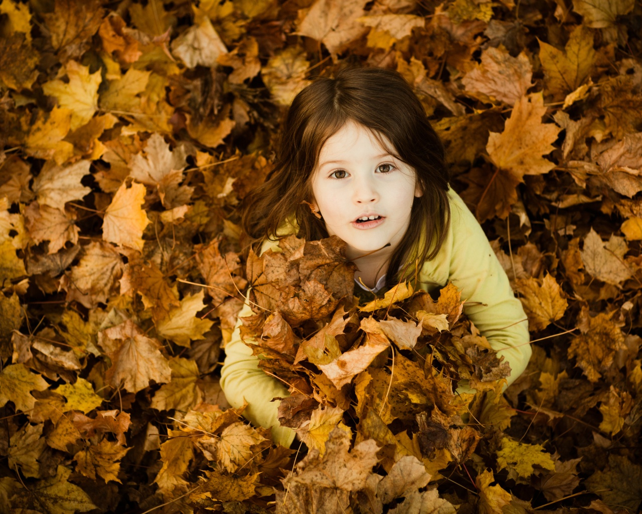 Девочка и осень обои