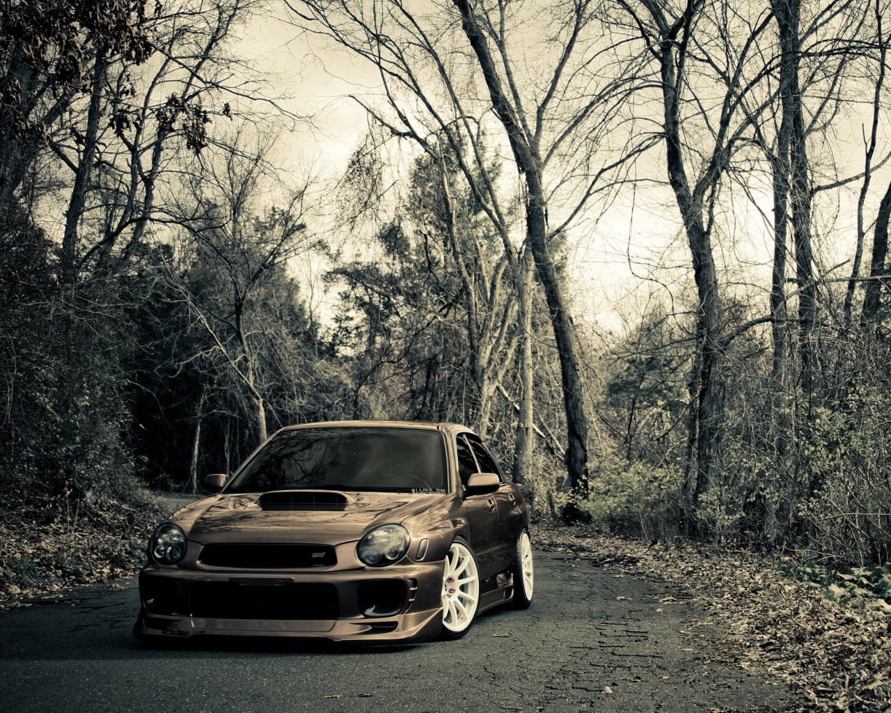Субару Импреза на лесной дороге обои