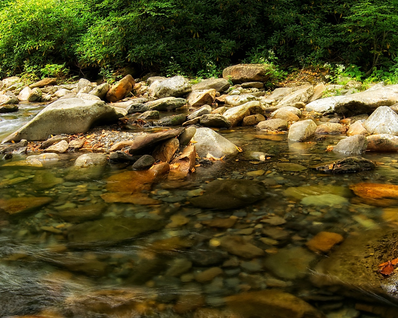 Гораня река обои