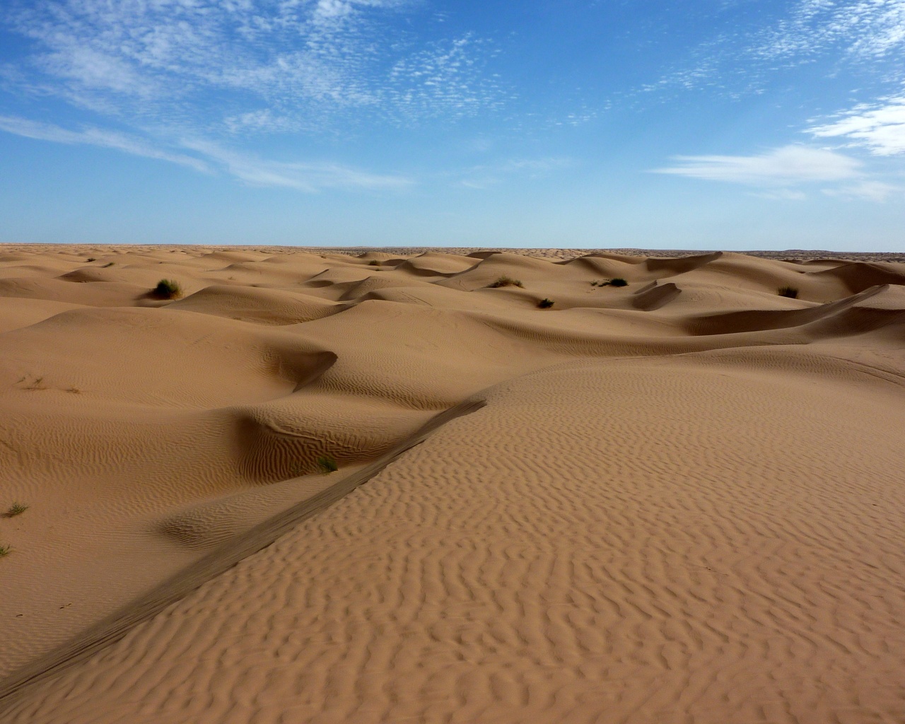 Пустыня до самого горизонта обои